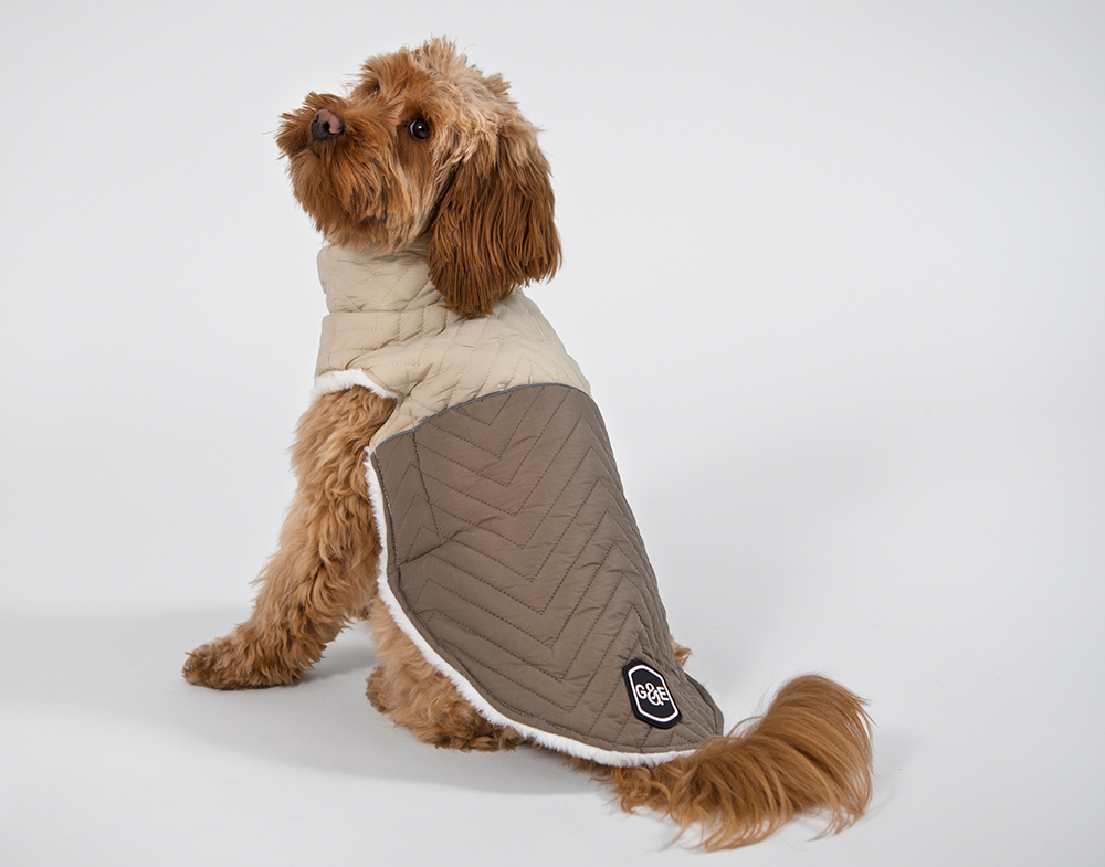 20550, 20551, 20552, 20553, 20554.png