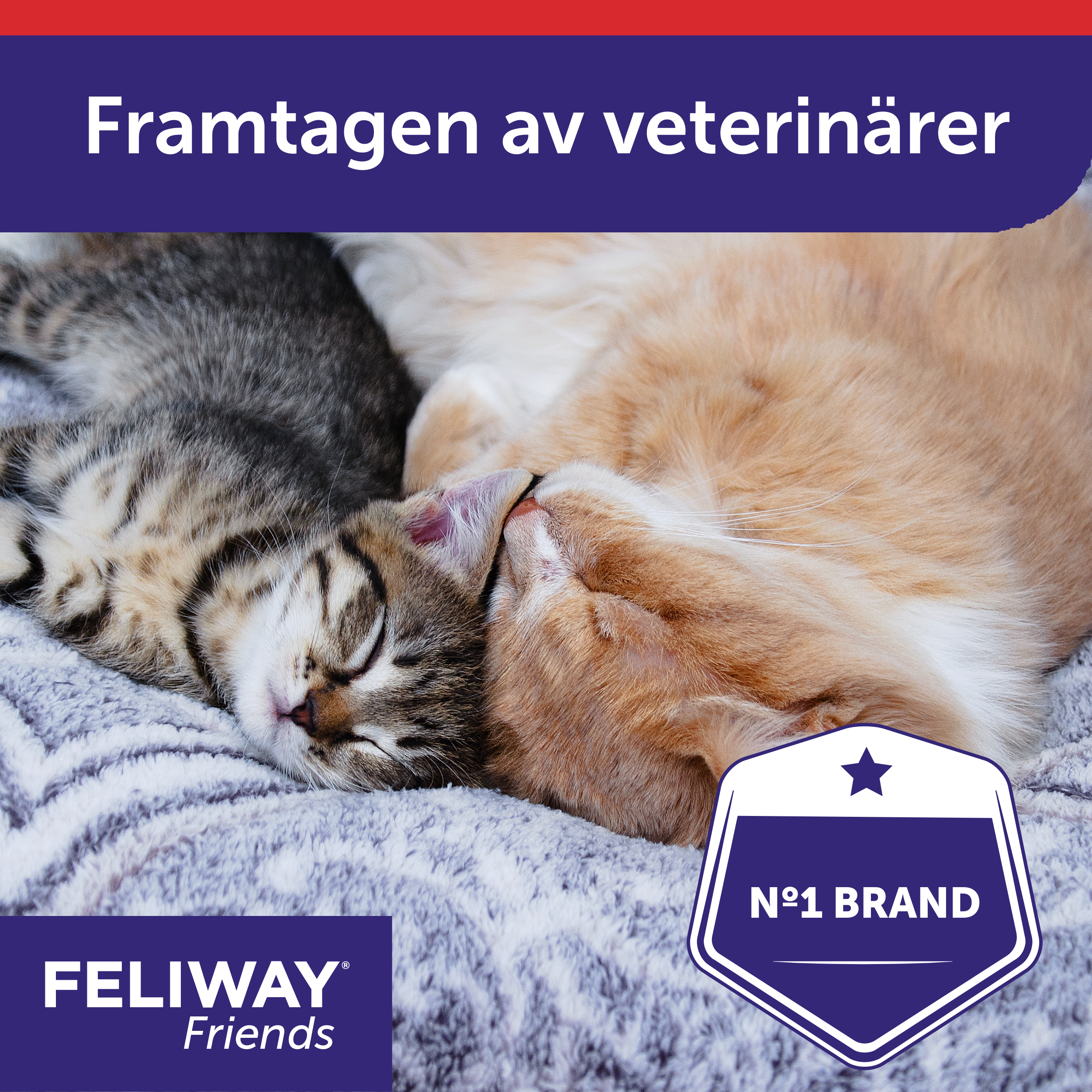 Feliway Friends refill_6_3411112251445.png