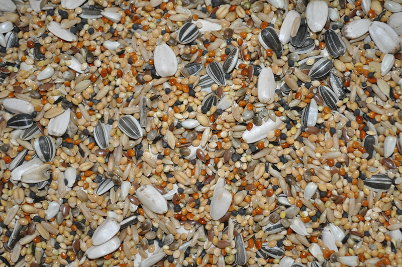 verselelaga_prestige_bigparakeets_seeds_mix_birds_