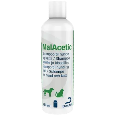 MalAcetic™ Shampoo Dogs & Cats