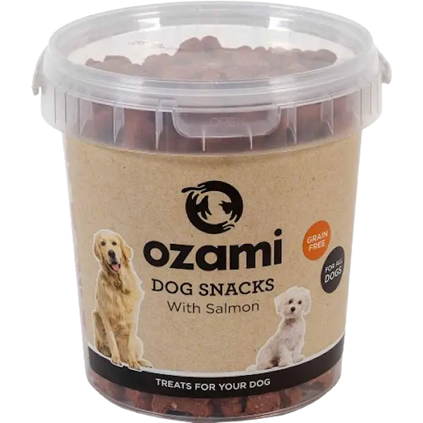 Dog Snack Grain Free Salmon Bucket