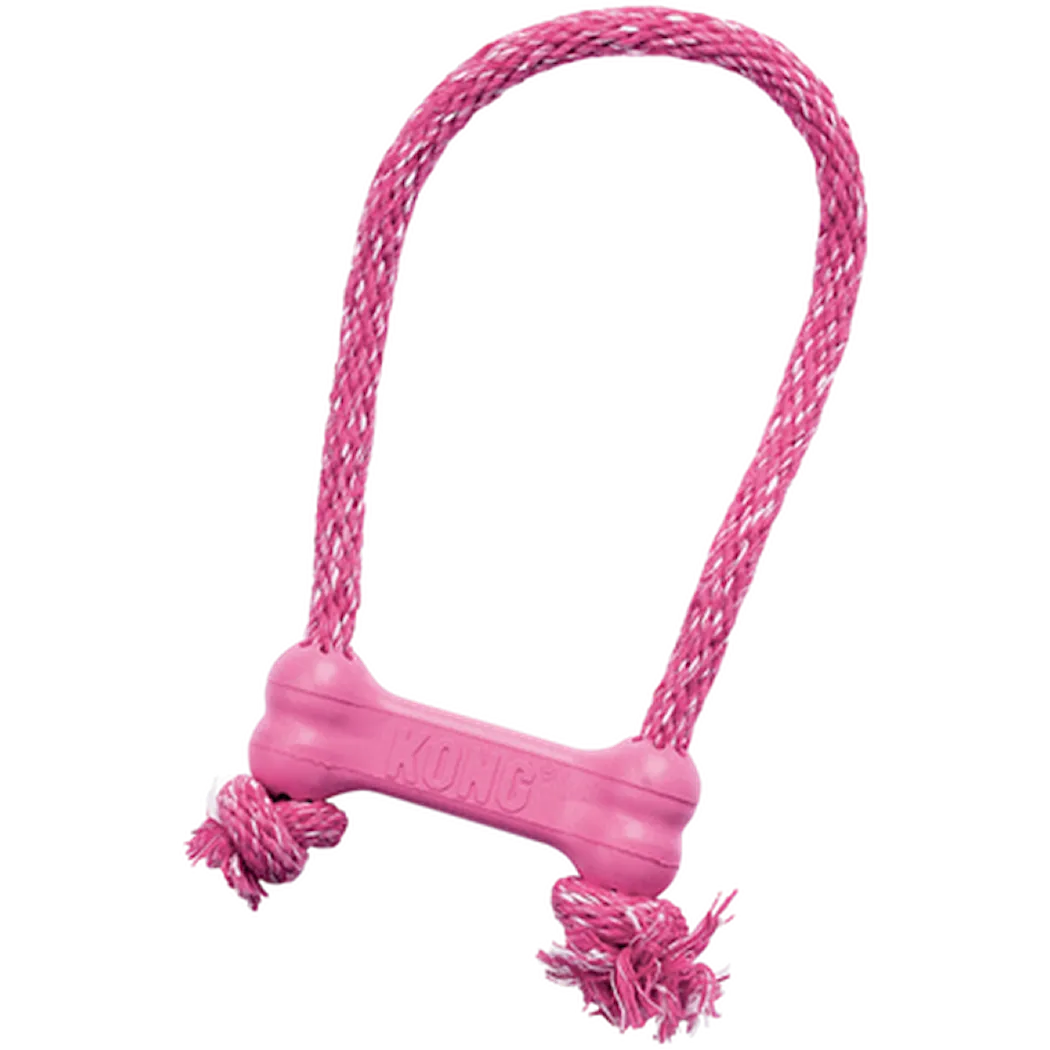 Kong Puppy Goodie Bone with Rope XSmall Pink/Blue
