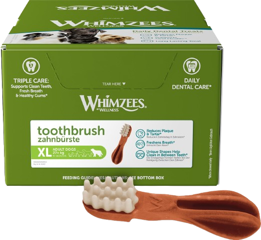 Toothbrush Veggie XLarge x 18