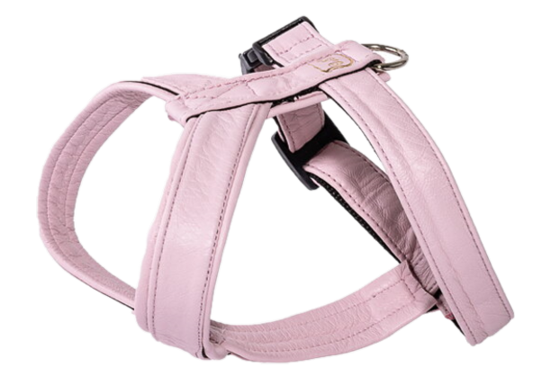 Gustaf och Evita - Lädersele Pro Rosa Nr 2 - Hund - Hund - Halsband - ZOO.se